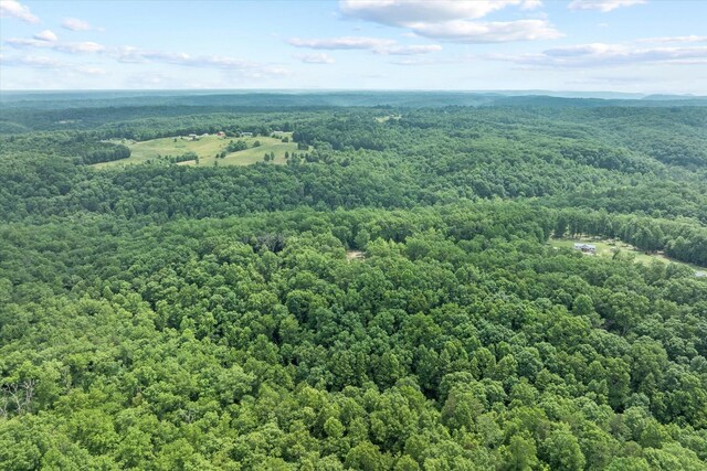 280 Paradise Ln, Crawford, TN 38554 - photo 17