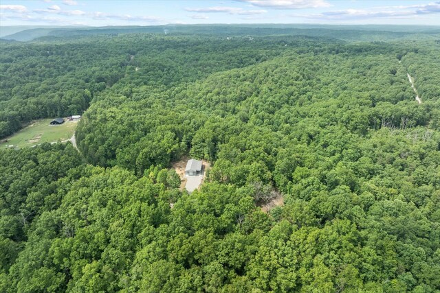 280 Paradise Ln, Crawford, TN 38554 - photo 3
