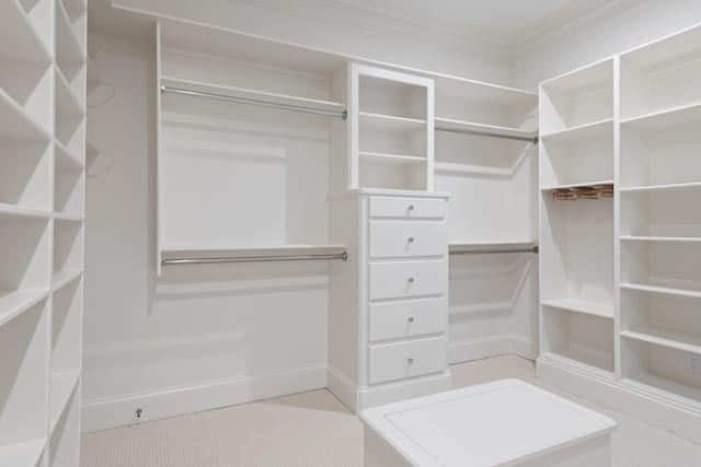 2455 Hidden River Ln, Franklin, TN 37069 - view of walk in closet