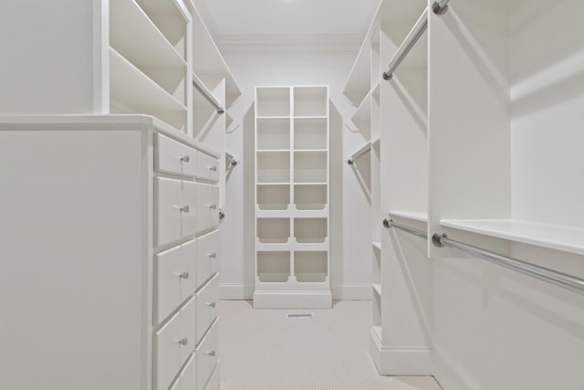 2455 Hidden River Ln, Franklin, TN 37069 - walk in closet featuring light carpet
