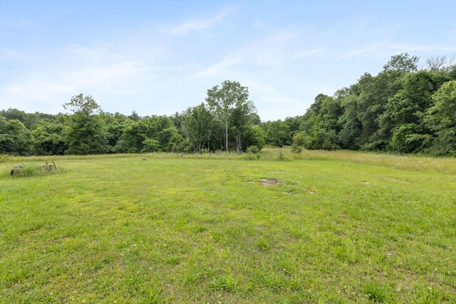 5435 Little Hope Rd, Murfreesboro, TN 37129 - photo 16