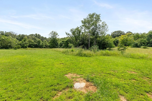 5435 Little Hope Rd, Murfreesboro, TN 37129 - photo 19