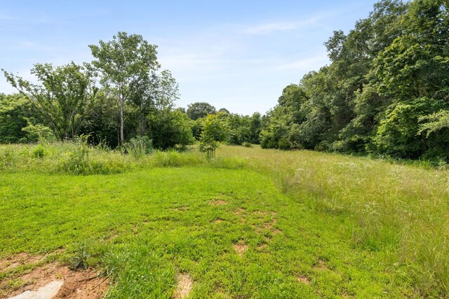 5435 Little Hope Rd, Murfreesboro, TN 37129 - photo 18