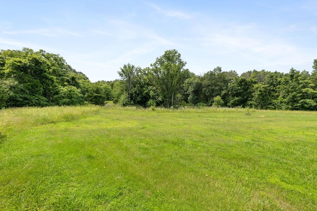 5435 Little Hope Rd, Murfreesboro, TN 37129 - photo 17