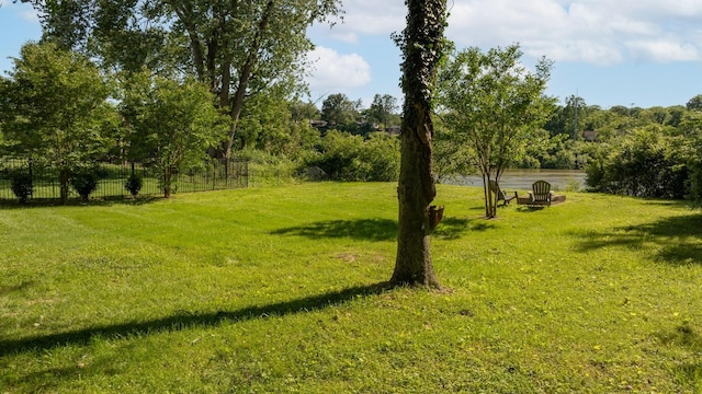 2207 Pennington Bend Rd Unit 3, Nashville, TN 37214 - view of yard