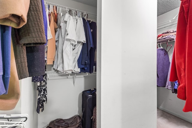 1830 Bradbury Rd, Adams, TN 37010 - view of closet