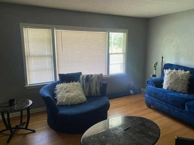 3701 Juandale Trl, Chattanooga, TN 37406 - living room featuring wood finished floors and baseboards