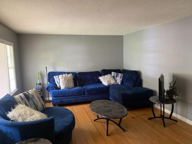 3701 Juandale Trl, Chattanooga, TN 37406 - living room featuring wood finished floors and a textured ceiling