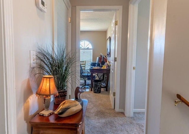 1699 Burnt Oak Dr Unit 195, Dalton, GA 30721 - corridor with carpet flooring, an office area, and a textured ceiling