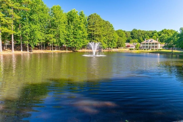 1699 Burnt Oak Dr Unit 195, Dalton, GA 30721 - water view with a heavily wooded area