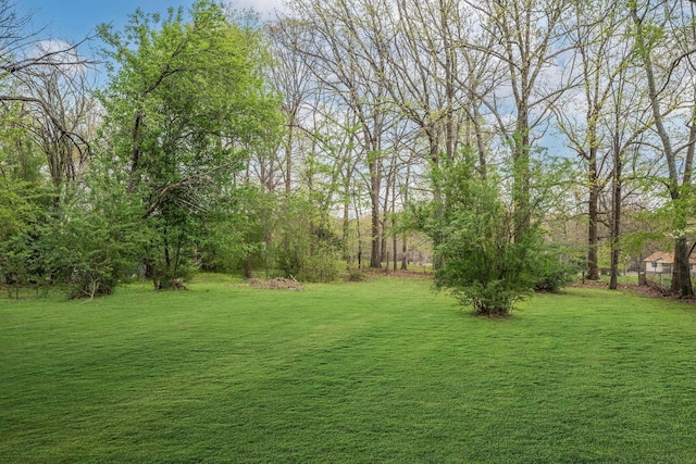 1529 W Grab Creek Rd, Dickson, TN 37055 - view of grassy yard