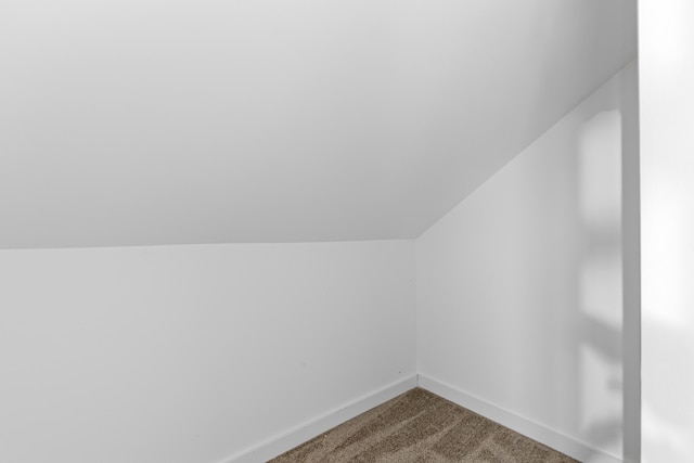 109 Anderson Dr, Chattanooga, TN 37421 - additional living space with vaulted ceiling and dark carpet
