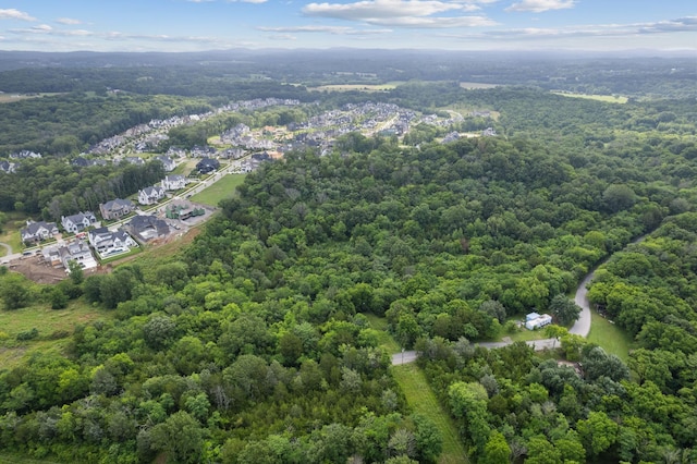 6417 Locust Ridge Rd, College Grove, TN 37046 - photo 4