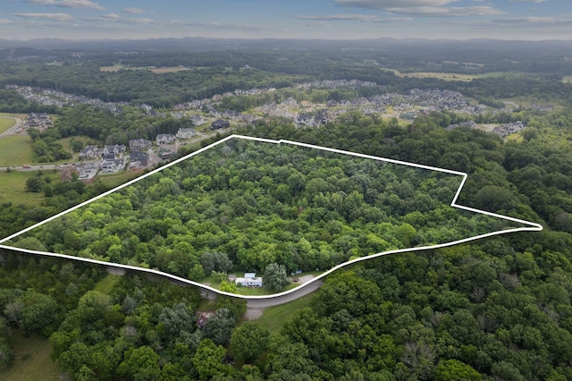 6417 Locust Ridge Rd, College Grove, TN 37046 - photo 2