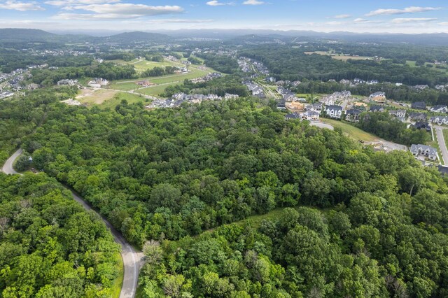 6417 Locust Ridge Rd, College Grove, TN 37046 - photo 3