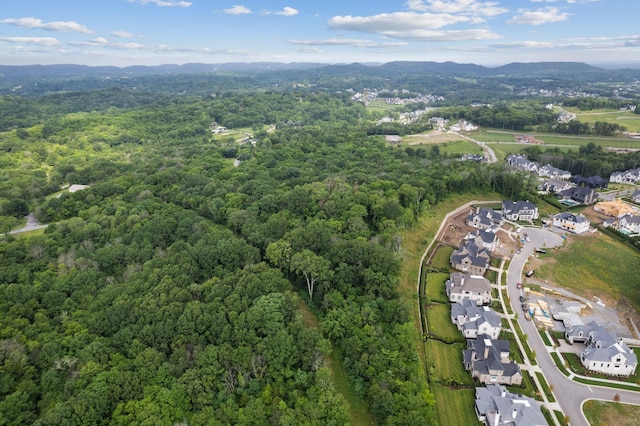6417 Locust Ridge Rd, College Grove, TN 37046 - photo 7