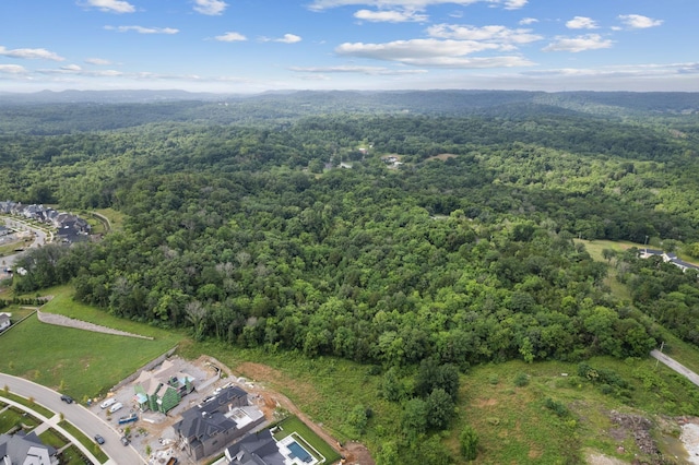 6417 Locust Ridge Rd, College Grove, TN 37046 - photo 8