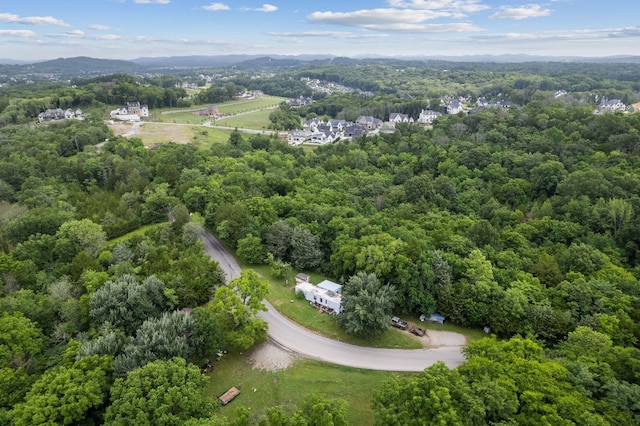 6417 Locust Ridge Rd, College Grove, TN 37046 - photo 10