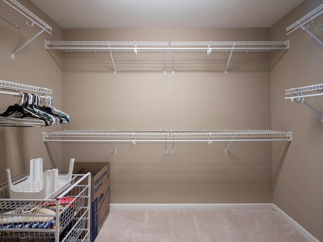 101 Alton Park Ln, Franklin, TN 37069 - photo 21