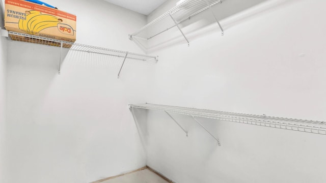 1676 Keeble St, Chattanooga, TN 37412 - view of walk in closet
