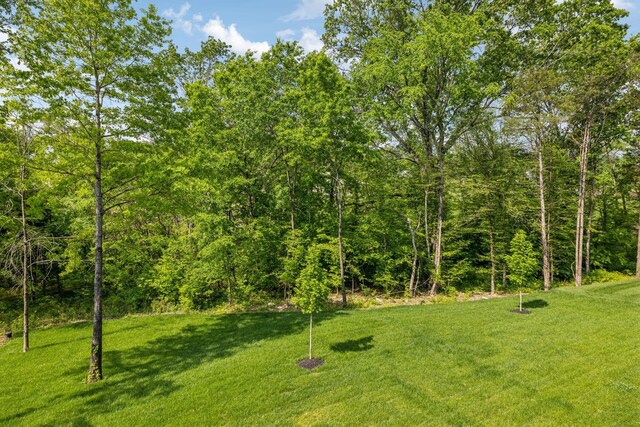 8876 Edgecomb Dr, College Grove, TN 37046 - view of green lawn featuring a forest view