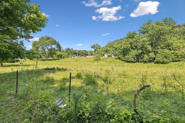 8663 Dog Branch Rd, Mount Pleasant, TN 38474 - view of yard with a rural view