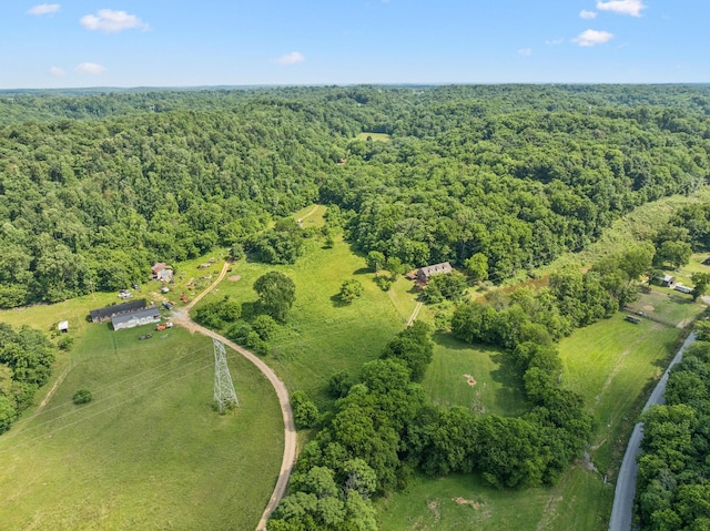 8663 Dog Branch Rd, Mount Pleasant, TN 38474 - aerial overview of property's location with a forest