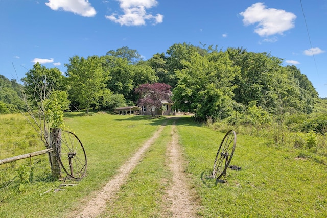 8663 Dog Branch Rd, Mount Pleasant, TN 38474 - view of grassy yard with driveway and a forest view