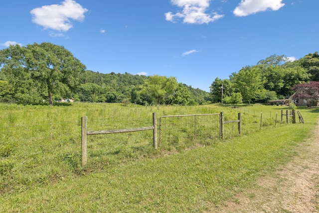 8663 Dog Branch Rd, Mount Pleasant, TN 38474 - view of yard with a view of countryside