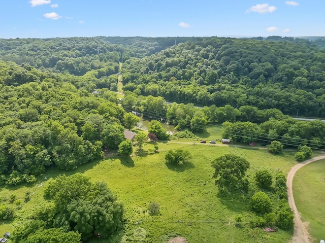 8663 Dog Branch Rd, Mount Pleasant, TN 38474 - aerial view