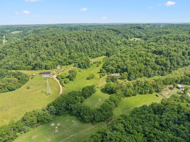 8663 Dog Branch Rd, Mount Pleasant, TN 38474 - view of property location with a heavily wooded area