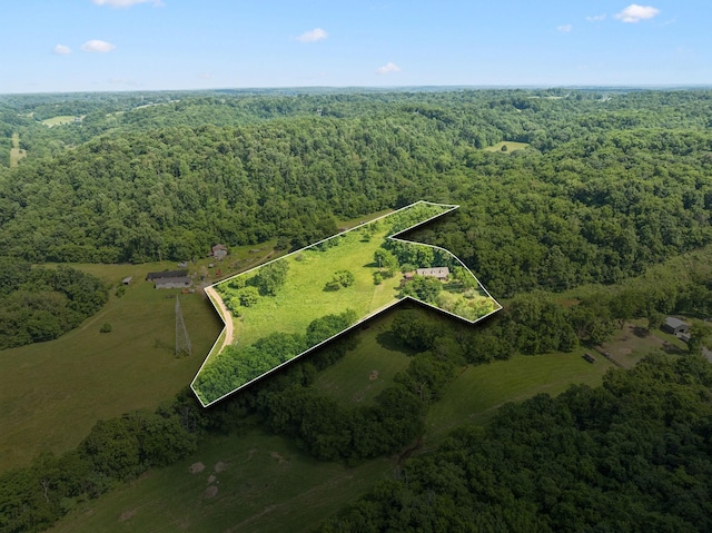 8663 Dog Branch Rd, Mount Pleasant, TN 38474 - aerial view of property's location with a heavily wooded area and property parcel outlined