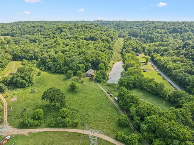 8663 Dog Branch Rd, Mount Pleasant, TN 38474 - aerial overview of property's location featuring a heavily wooded area