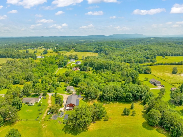 997 W 12th St, Chickamauga, GA 30707 - aerial view of a forest