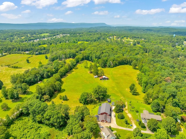 997 W 12th St, Chickamauga, GA 30707 - drone / aerial view of a heavily wooded area