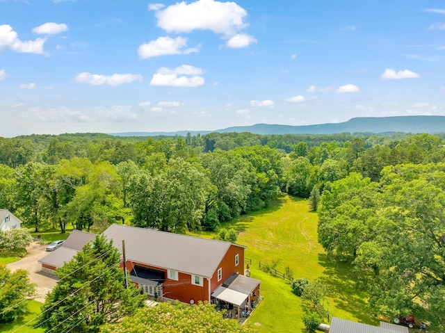 997 W 12th St, Chickamauga, GA 30707 - drone / aerial view of a heavily wooded area