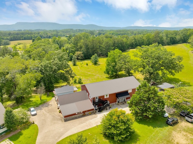 997 W 12th St, Chickamauga, GA 30707 - drone / aerial view of a mountainous background