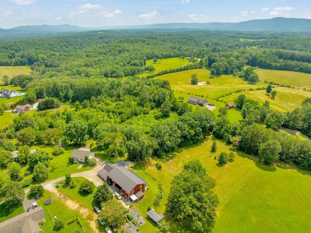 997 W 12th St, Chickamauga, GA 30707 - aerial view of a forest and mountains