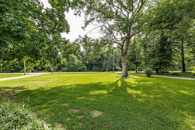 3046 Patton Branch Rd, Goodlettsville, TN 37072 - view of green lawn