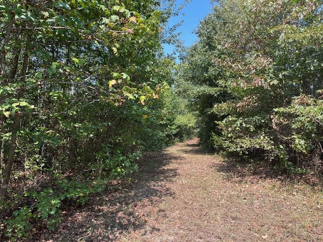 211 Little House Rd, Camden, TN 38320