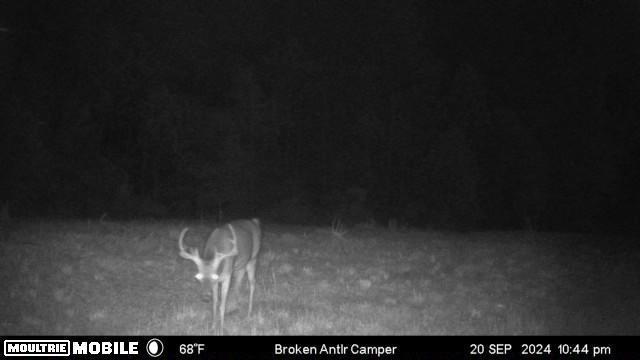 211 Little House Rd, Camden, TN 38320