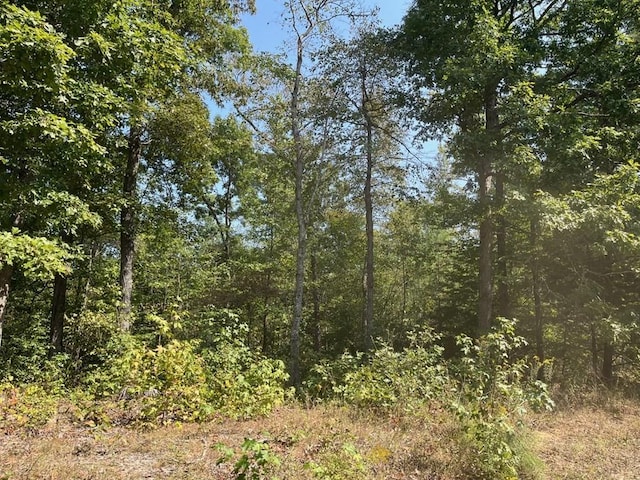 211 Little House Rd, Camden, TN 38320