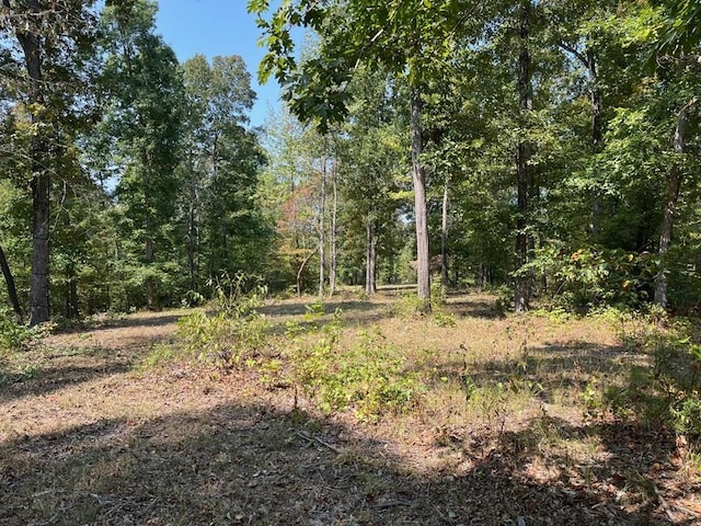 211 Little House Rd, Camden, TN 38320