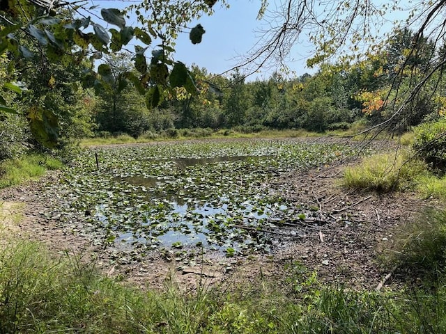 211 Little House Rd, Camden, TN 38320