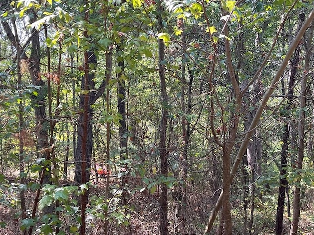 211 Little House Rd, Camden, TN 38320
