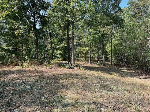211 Little House Rd, Camden, TN 38320
