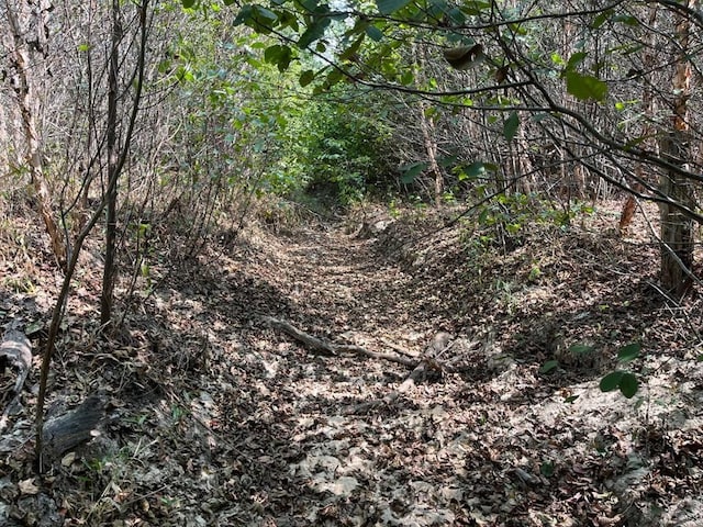 211 Little House Rd, Camden, TN 38320