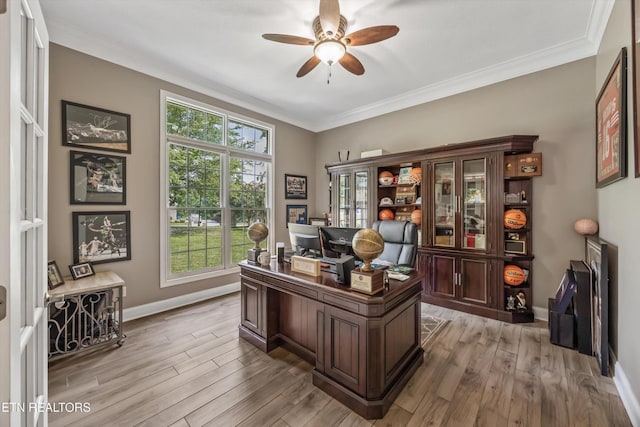 108 Center Park Ln, Oak Ridge, TN 37830 - office with a ceiling fan, light wood-style floors, and crown molding
