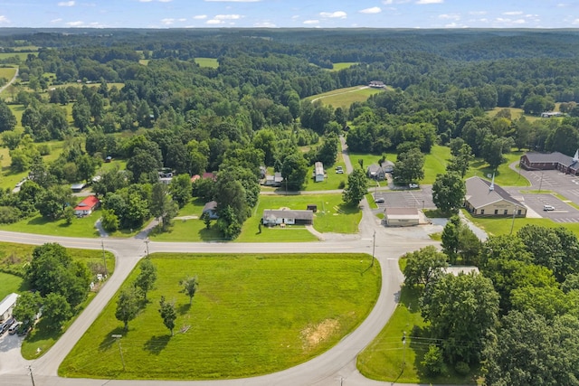 3205 Sylvia Rd, Dickson, TN 37055 - drone / aerial view of a forest