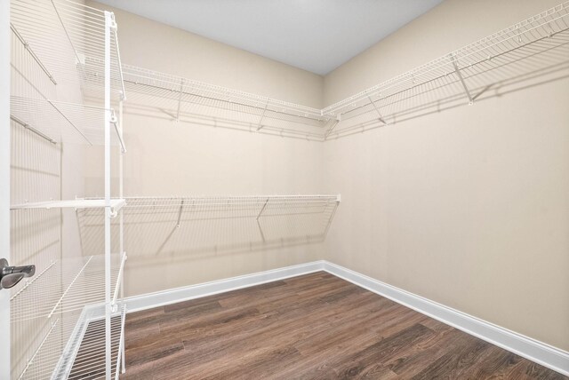 104 Hummingbird Way, Clarksville, TN 37043 - spacious closet with wood finished floors